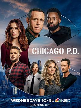 芝加哥警署 第八季 第01集