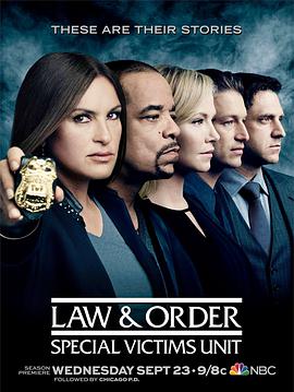 法律与秩序：特殊受害者 第十七季 第16集