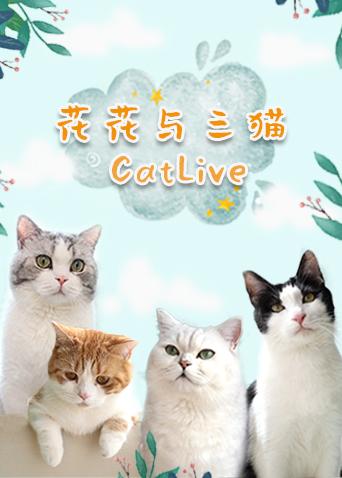 花花与三猫catlive 20190827期
