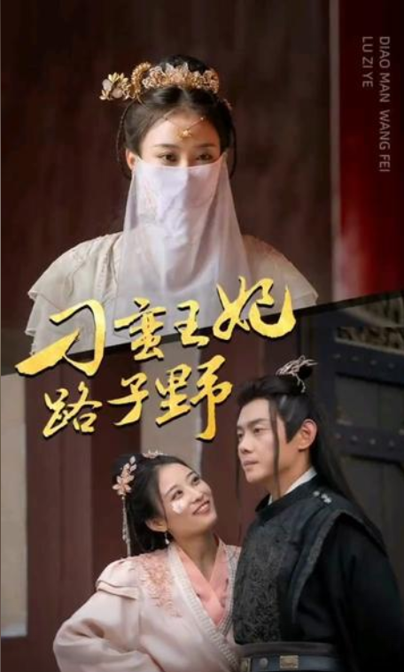 刁蛮王妃路子野 11-20集