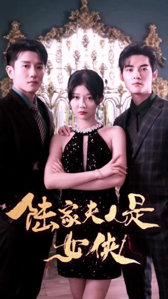 陆家夫人是女侠 1-20集